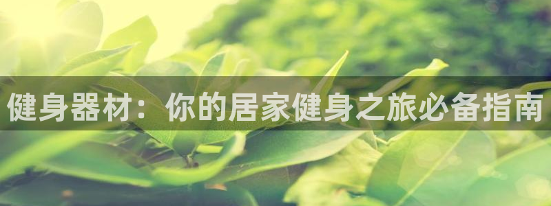 龙八国际下载官网平台