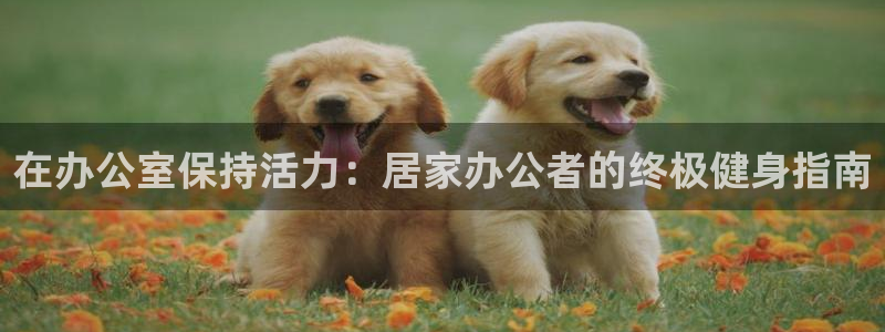 龙八国际娱乐网页多少