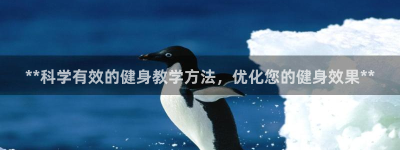 龙8国际免费试玩