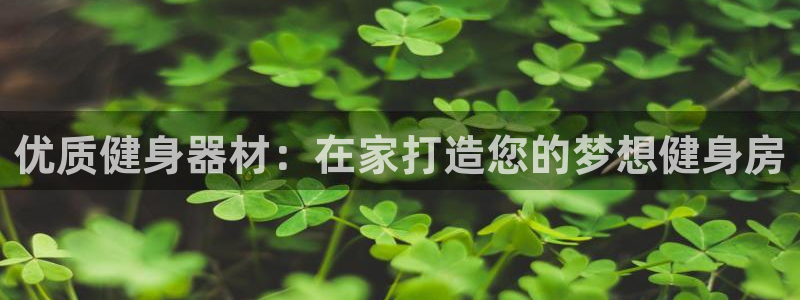 龙8国际是什么