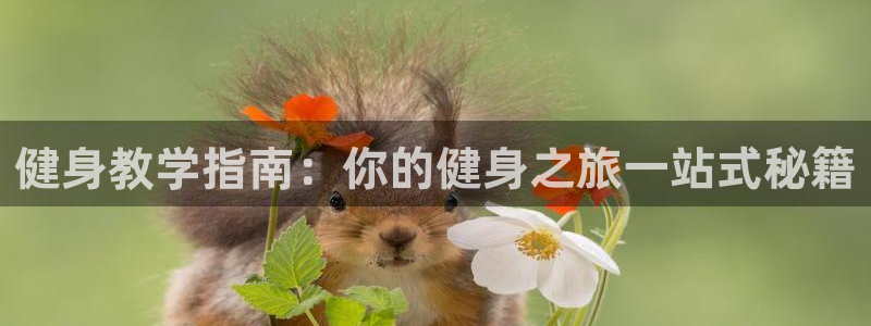 龙8国际电玩城