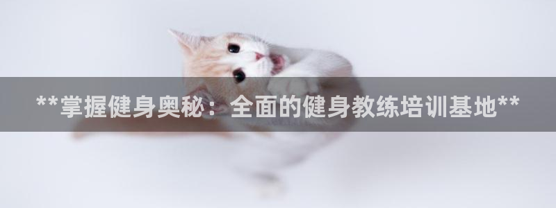 龙8国际为啥改名叫头号玩家了呢