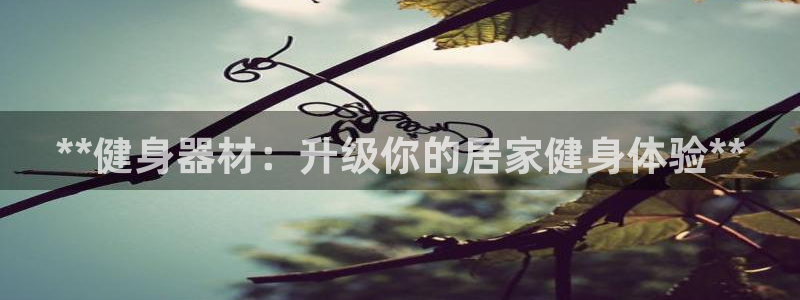 龙8国际欢迎您