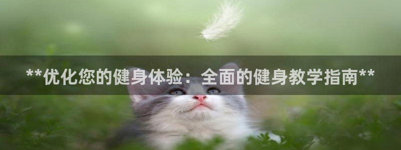 龙8国际线上