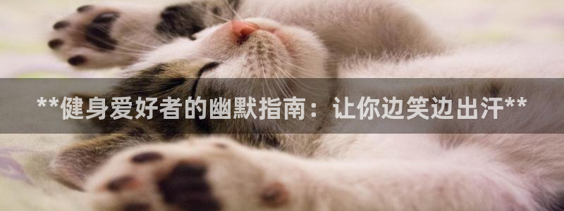 龙8娱乐国际城