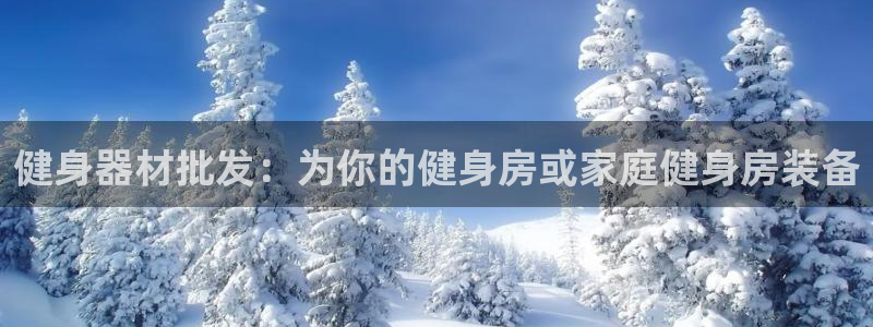 下载龙八国际官网