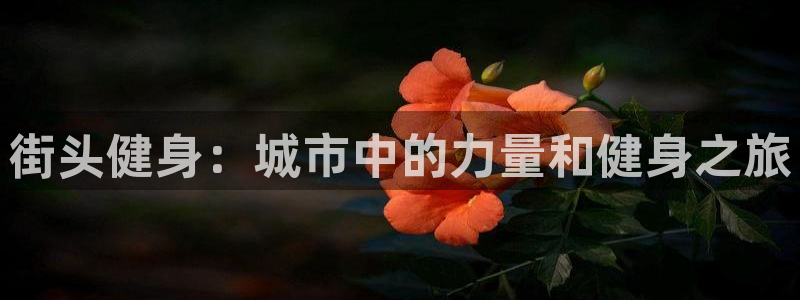 龙8国际官方网站手机版下载