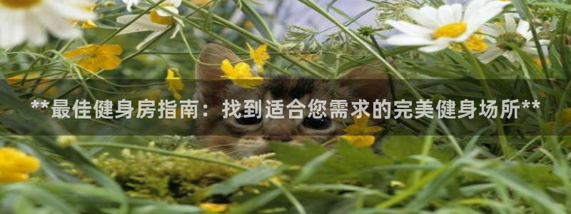 龙8国际平台