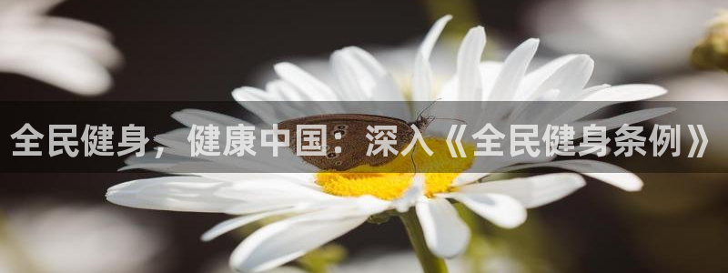 龙8国际现金