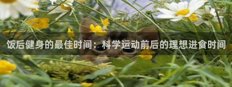 龙8国际欢迎您