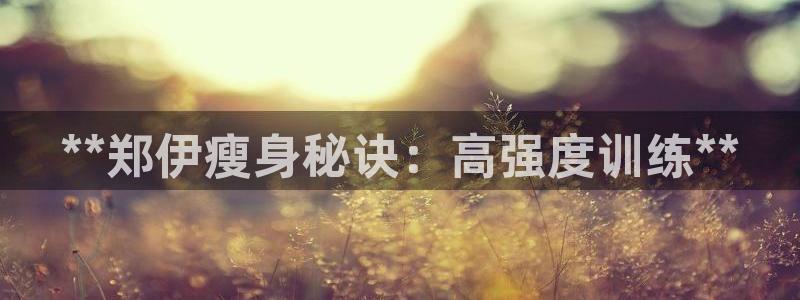 龙8电子游艺网址多少