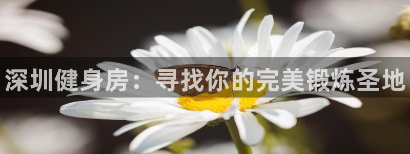 龙8国际官网下载地址