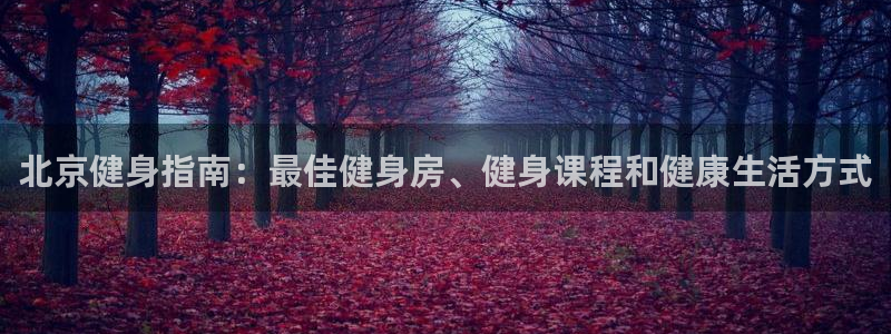 龙8国际官网老虎机