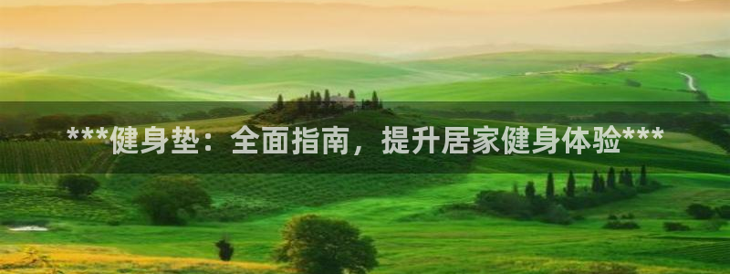 龙八国际网页