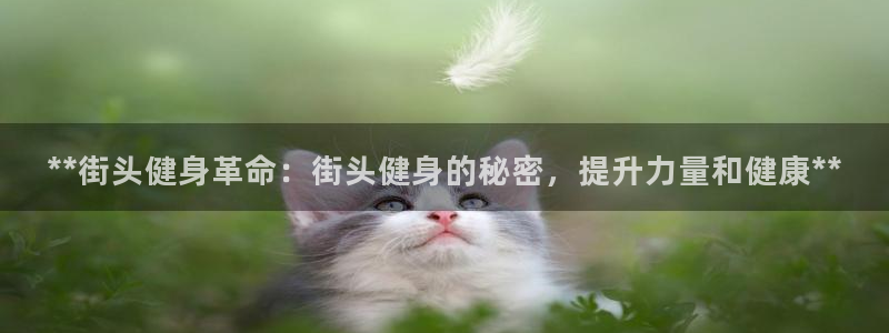 龙8国际app下载官网手机版最新版