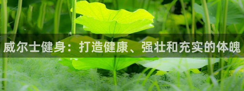 龙8国际long88(中国)官方网站