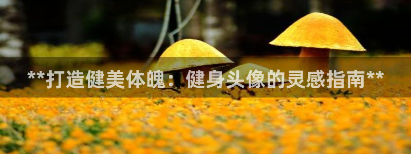 龙8国际官方下载