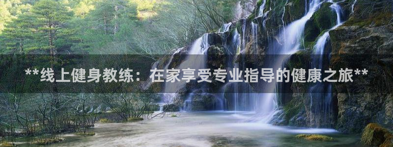 龙8国际pt