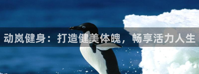 龙8国际正规吗