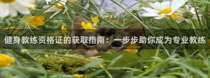 龙8国际官方下载