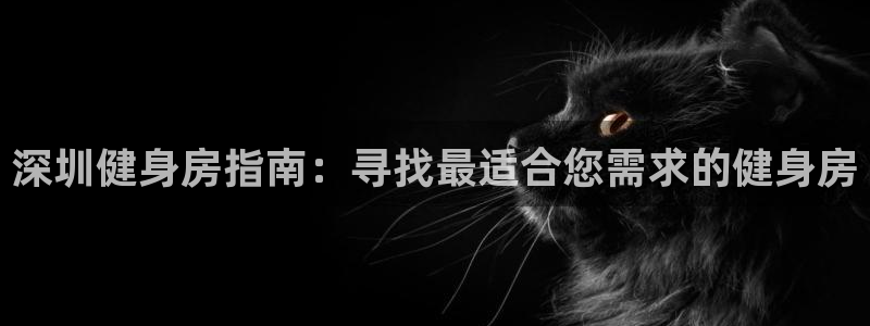 龙8国际的官网