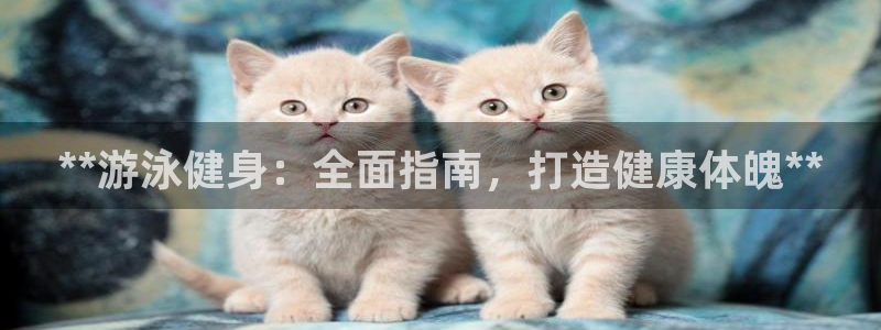 龙8国际唯一官网手游登录入口