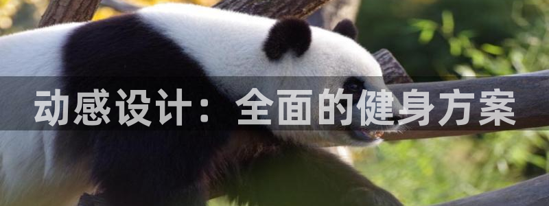 龙8国际官方网站龙8国际pt老虎机