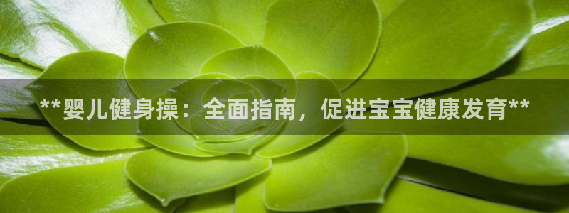 龙8国际平台