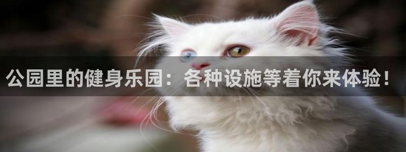 龙8国际官网老虎机