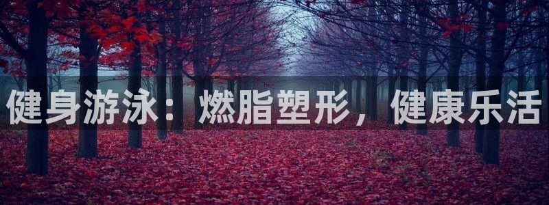 龙八国际登录密码