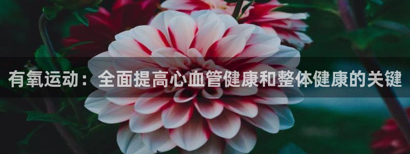 龙8国际平台