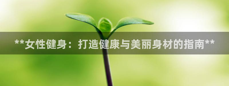 龙8国际pt网址