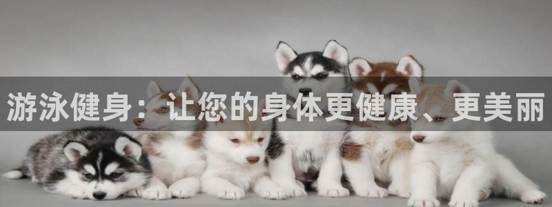 龙 八国际