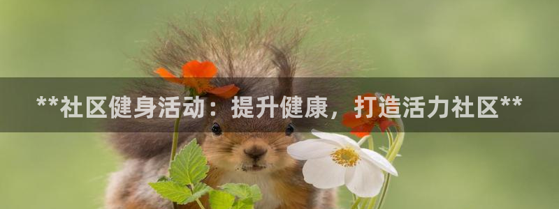 龙8国际app下载客户端