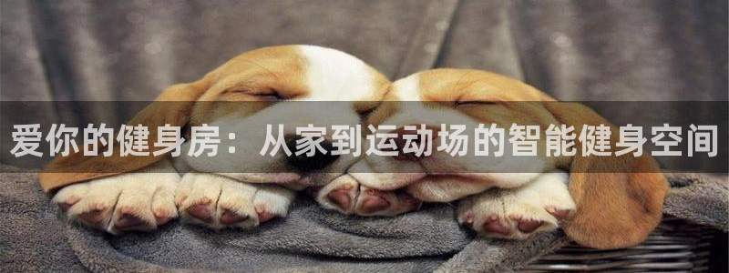龙8国际平台提款被黑