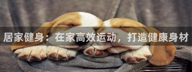 龙8国际龙8官方