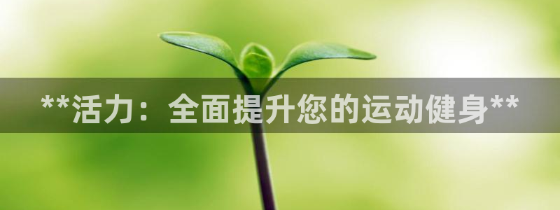 龙八国际下载官网平台
