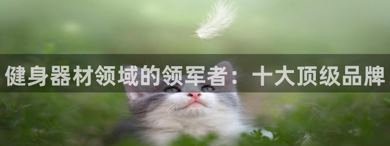 龙8国际手机版app
