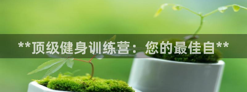 龙8国际2021官方网站pkufli5.10
