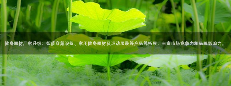 龙八国际娱乐平台网站