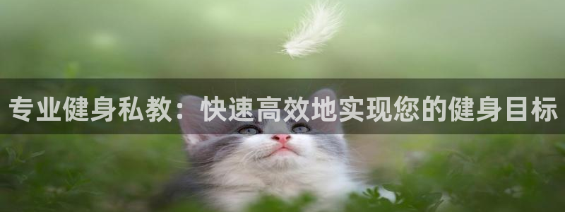 龙8国际手机游戏官网下载