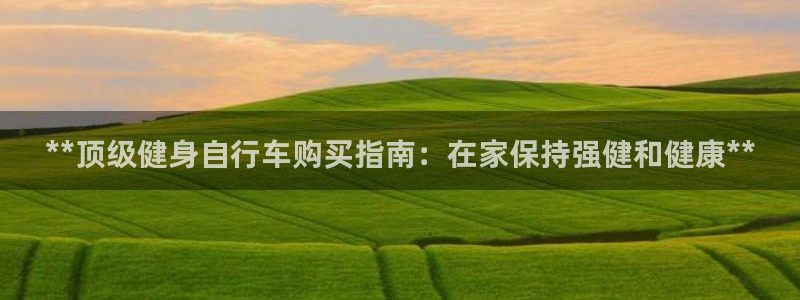 龙八国际pt