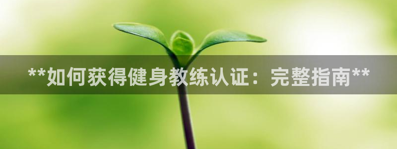 龙8国际官网手机客户端