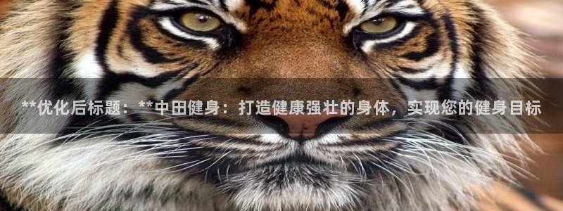 龙8老虎机游戏网站多少