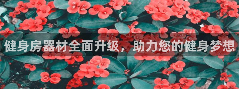 龙八国际app客户端下载