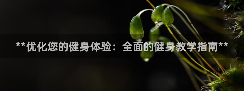 龙8老虎机游戏网站多少