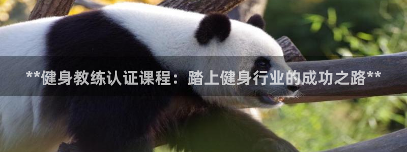 龙8国际游戏官网