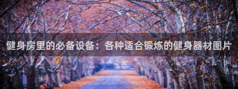 龙8棋牌官网