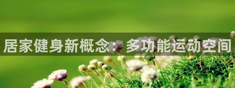 龙8国际官网版玩法