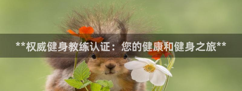 龙8国际网页版